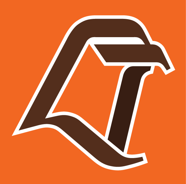 Bowling Green Falcons 1990-2005 Alternate Logo iron on transfers for T-shirts